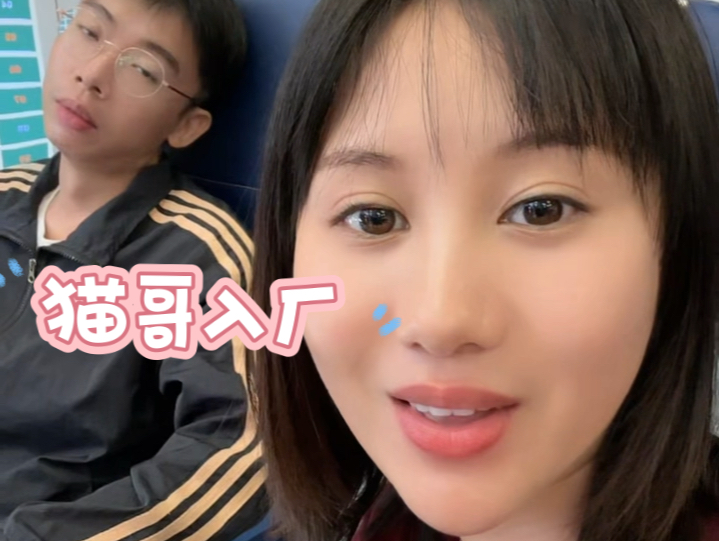 猫哥又又又又又一次入厂大修!大家要注意身体