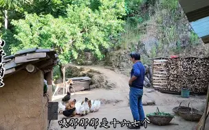 Download Video: 爷爷奶奶住在秦岭深处，养鸡养猪狗狗看家，靠双手收获粮食