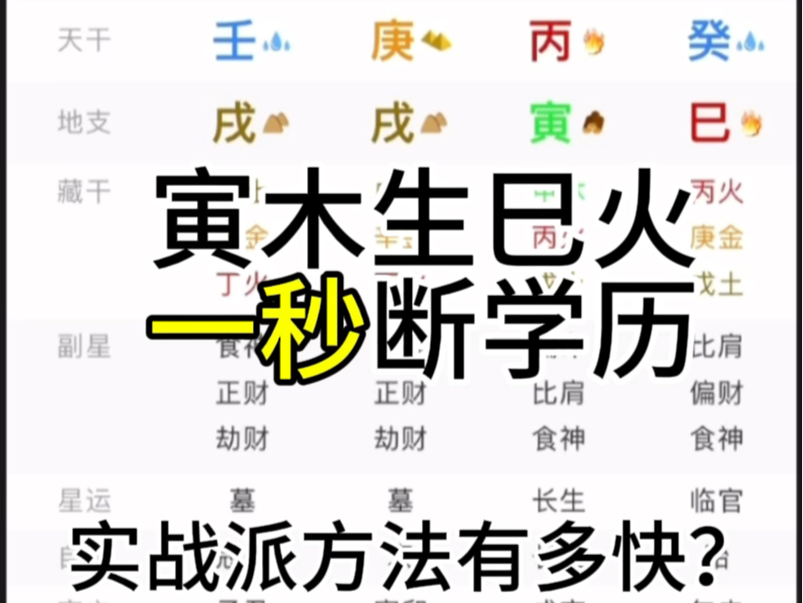 极度讲解各种学历层次什么样?哔哩哔哩bilibili