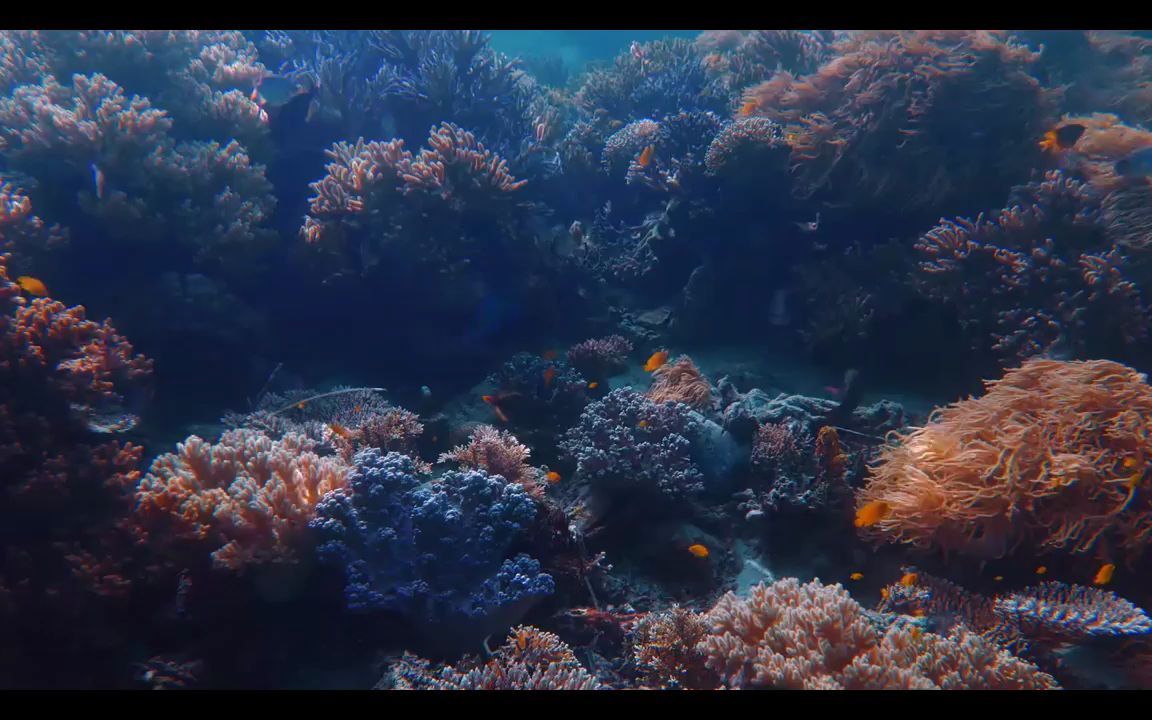 e712 蓝色海底世界科幻海底水珠水珠气泡水底水底透光海底翻气泡鱼群