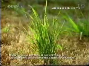 达克宁2005年广告《脚气篇》15秒哔哩哔哩bilibili