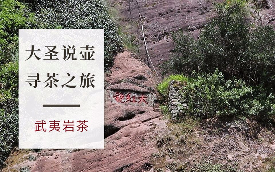 大圣说壶第39期:寻茶之旅—探访“武夷岩茶”,具有男子之气的一款茶哔哩哔哩bilibili