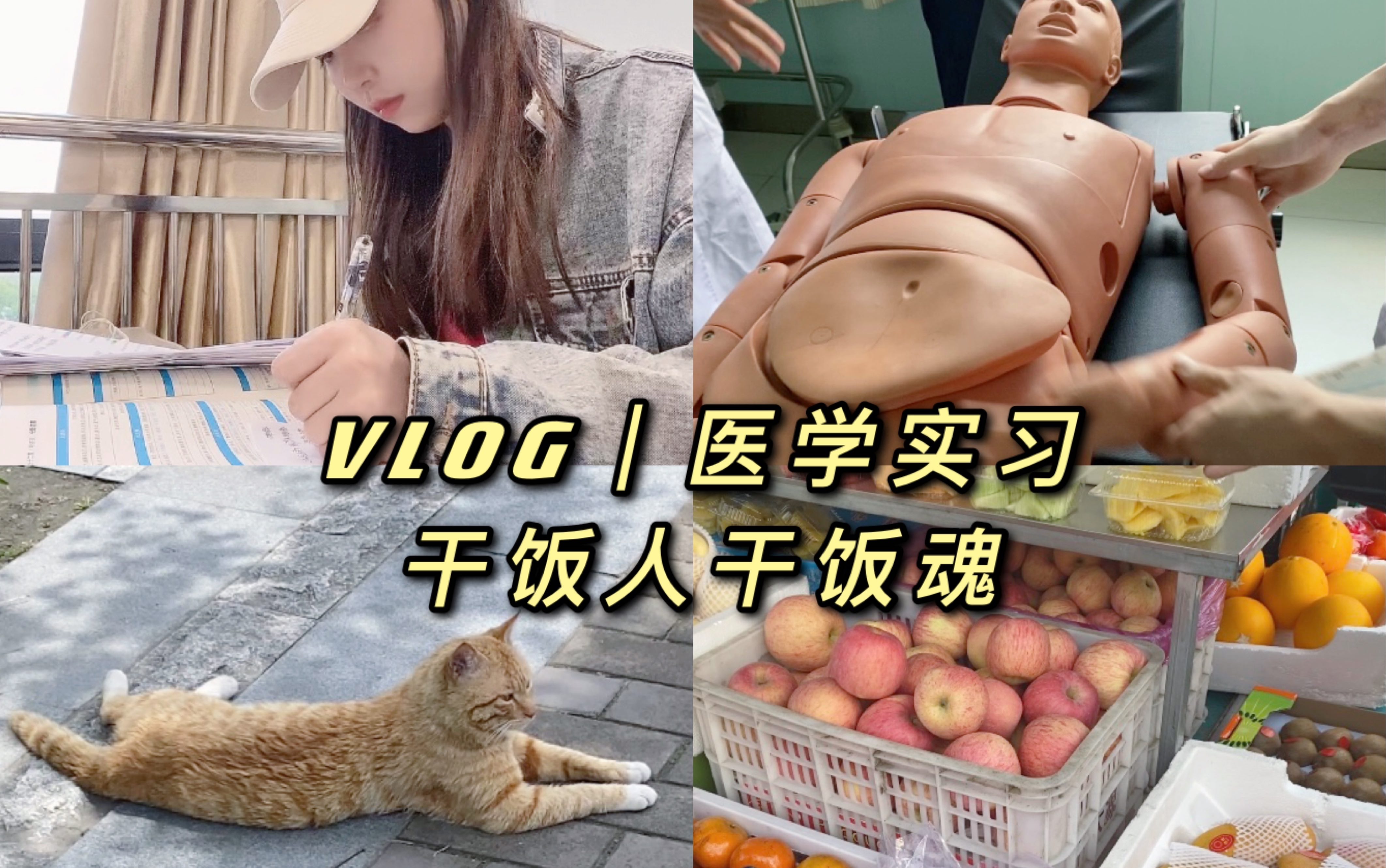 医学生VLOG|实习生活 和我一起干饭嘛|猫猫好可爱 培训实操 人体工学椅开箱哔哩哔哩bilibili