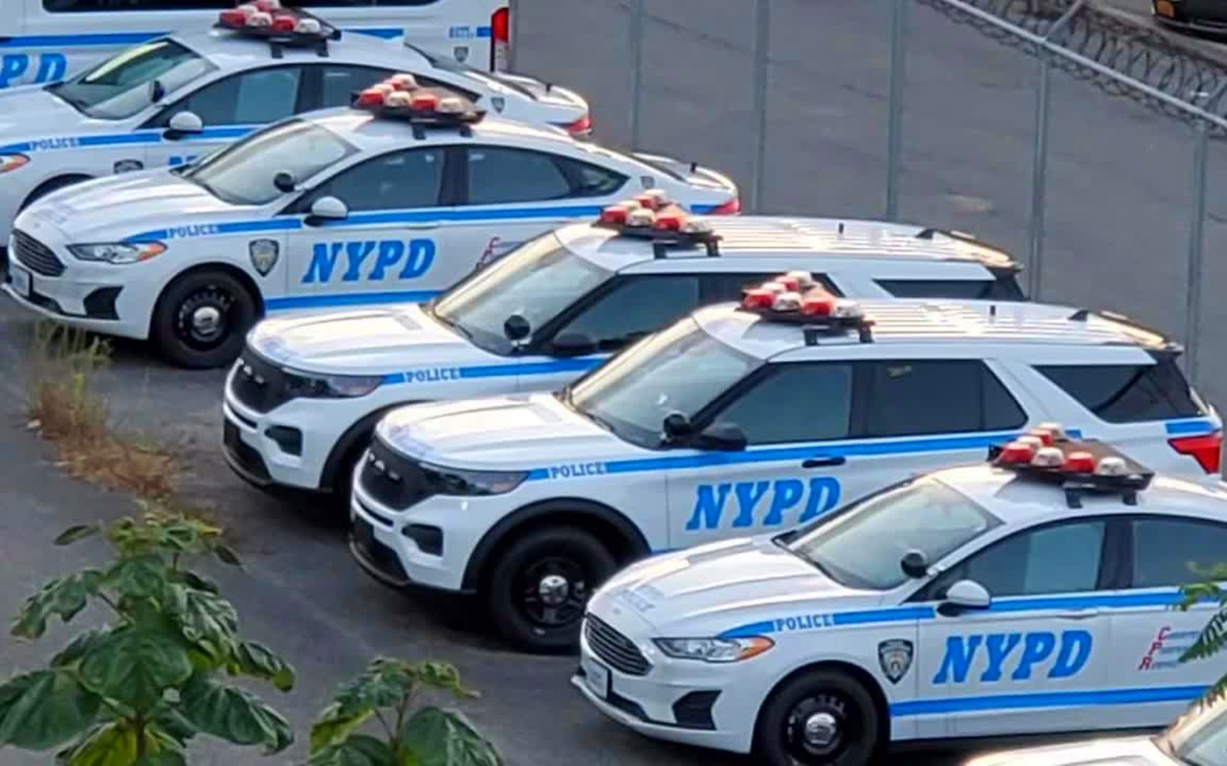 紧急车辆64nypd各种全新的警车在等待分配一次看过瘾
