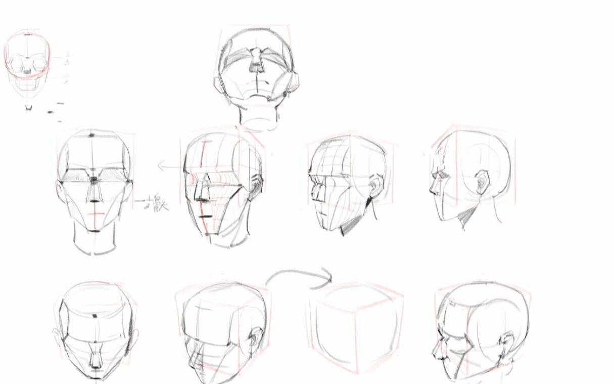 【新手基础教程】人物头像、骨骼、面部结构绘制过程讲解哔哩哔哩bilibili