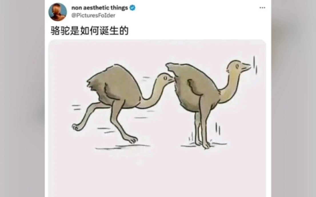 贴吧吊图合集精选