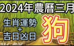 Descargar video: 【张古柏】每月运势吉日凶日2024年农历三月阳历2024年4.9~5.7生肖运势——狗