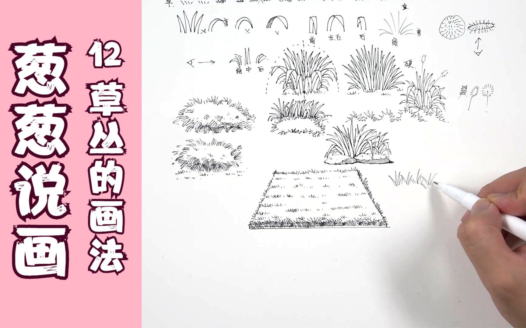 【葱葱说画】系列十二:零基础线条练习,草丛怎么画哔哩哔哩bilibili