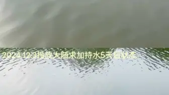 【24.12.11】浙江省台州市温岭市横峰街道西塘大厦