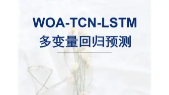 基于鲸鱼算法优化时间卷积网络-长短期记忆神经网络WOA-TCN-LSTM回归预测，WOA-TCN-LSTM多变量回归组合预测模型，多输入单输出模型。