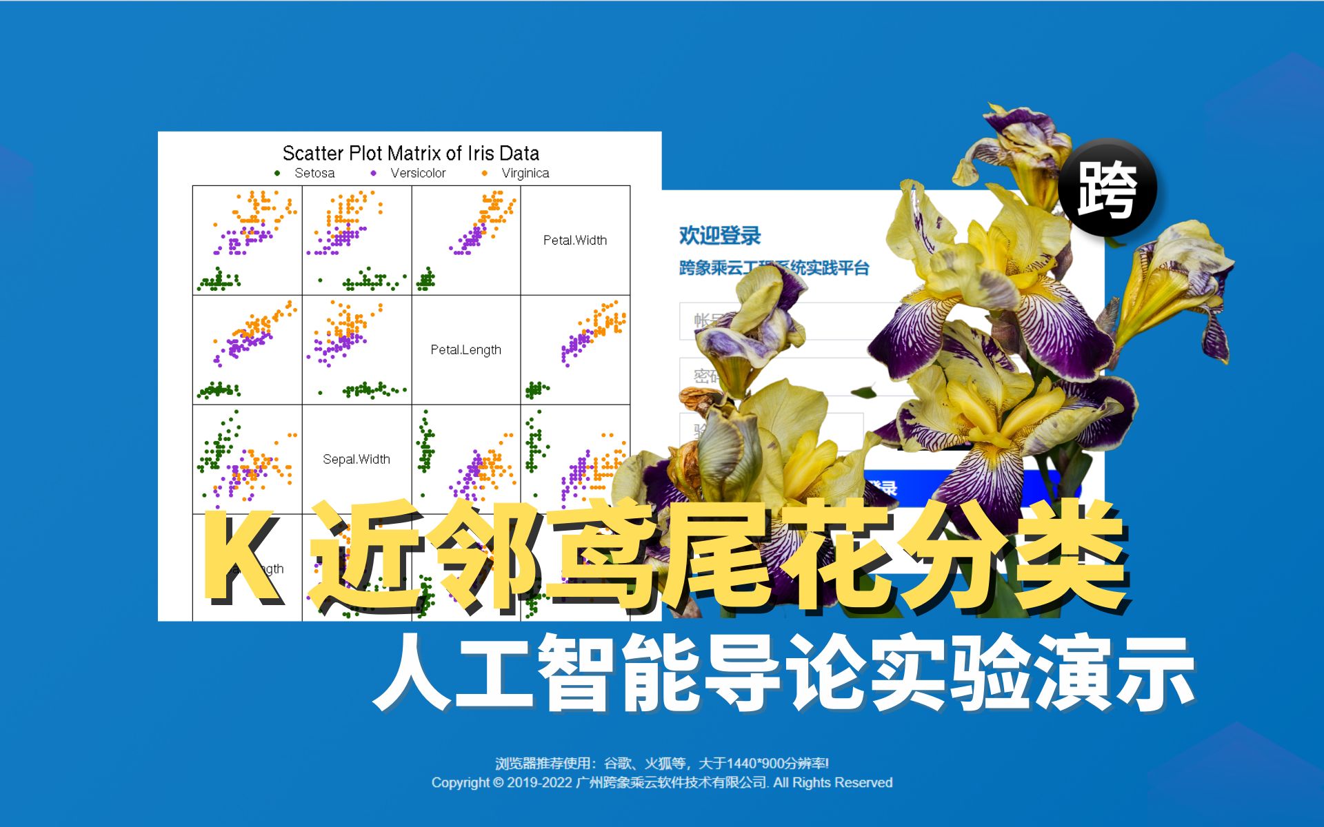 人工智能导论实验演示  20. K 近邻鸢尾花分类哔哩哔哩bilibili