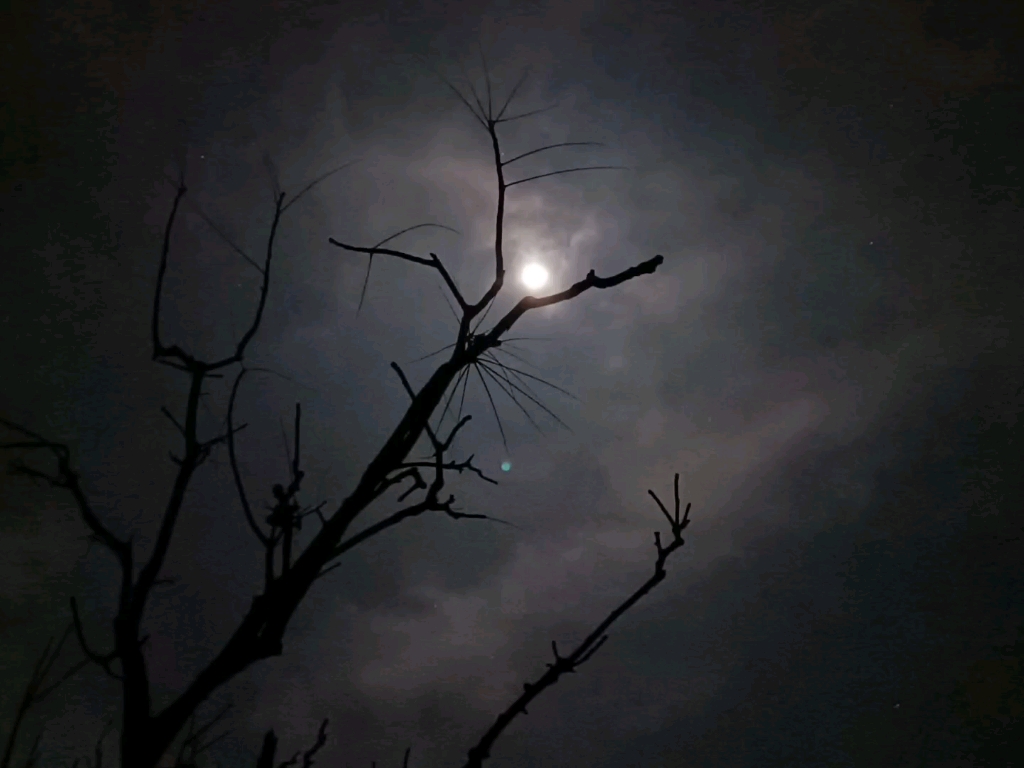 农村的夜晚,繁星 月亮