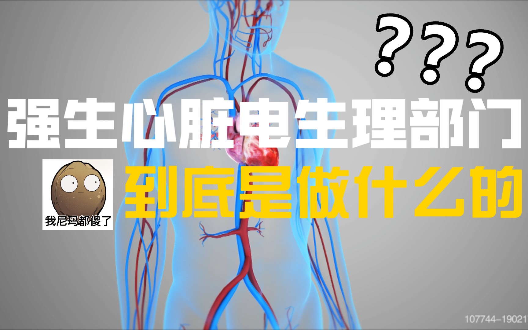 强生心脏电生理部门,到底是做什么的?哔哩哔哩bilibili