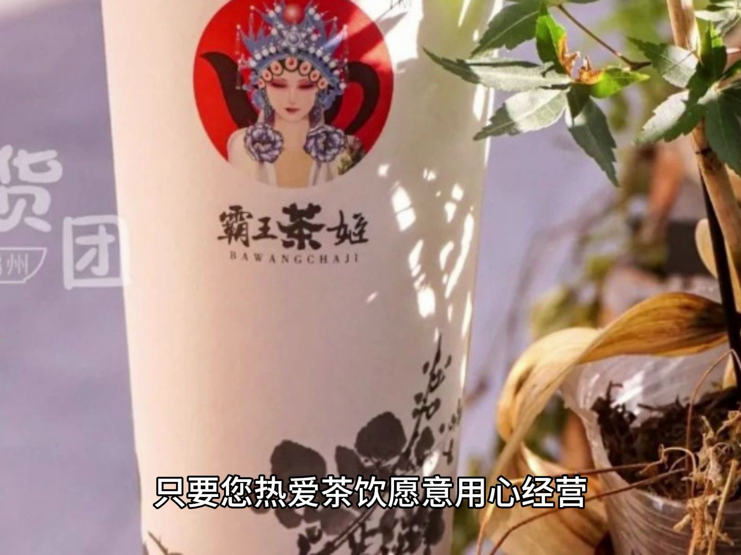 霸王茶姬加盟開放哪些區域?