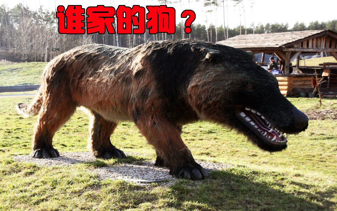 19种你应该庆幸已经灭绝的凶残动物看长相就不是善茬