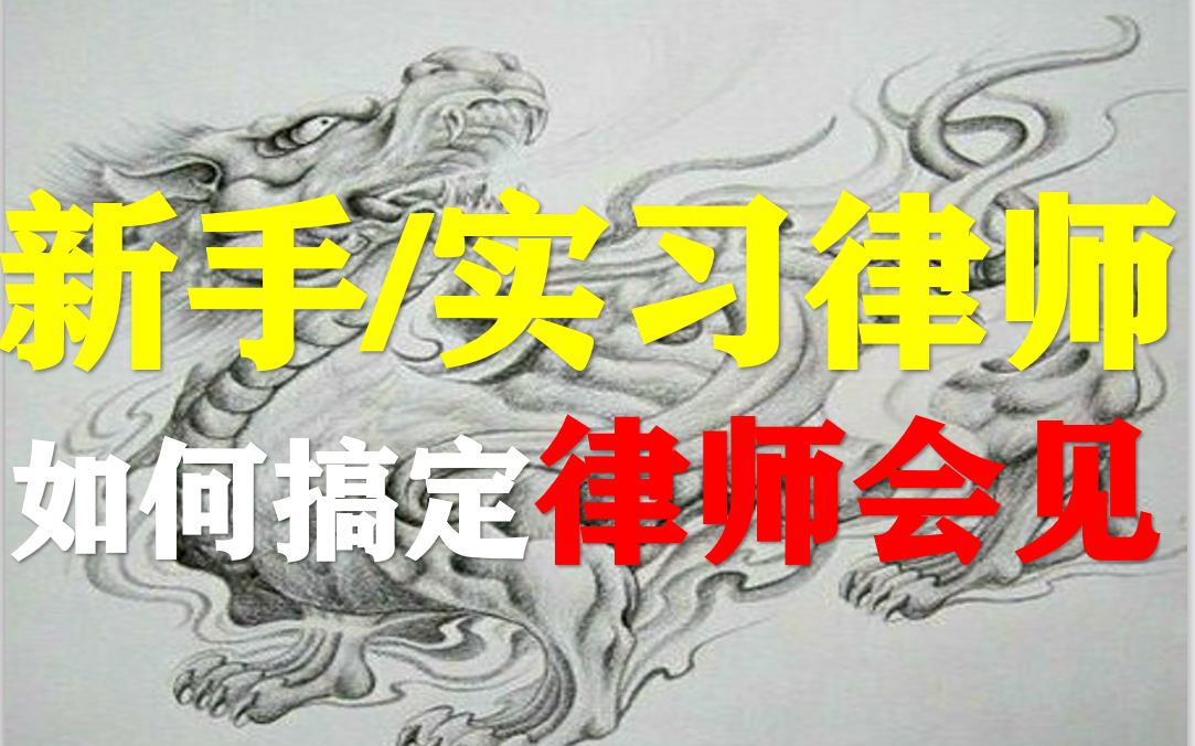 【獬豸骑士】新手/实习律师如何搞定律师会见哔哩哔哩bilibili