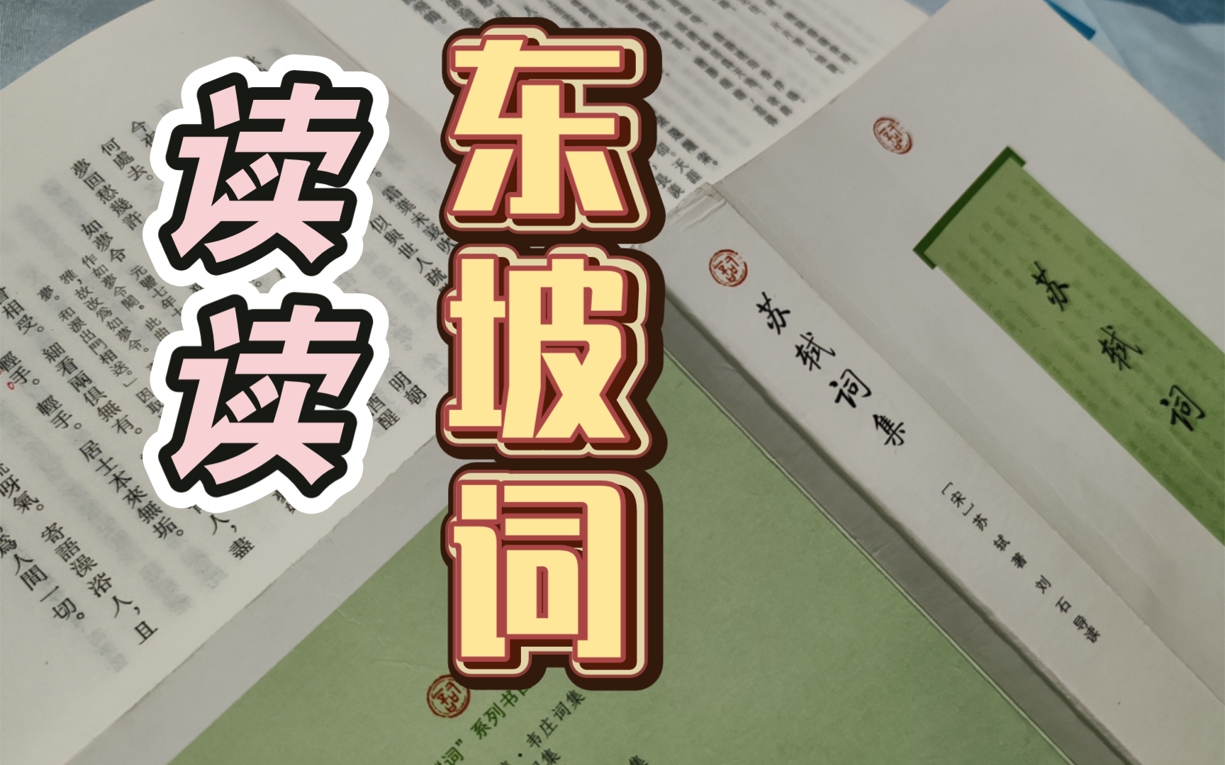 《岳麓词话》【第26期】东坡词:平生功业(杭颍)哔哩哔哩bilibili