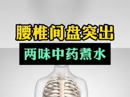 Descargar video: 腰椎间盘突出，两味中药煮水，恢复气血运行