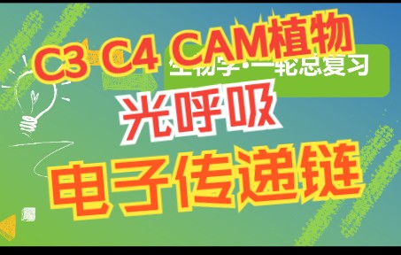 【高中生物一轮复习】解惑练1.2.3 C3植物C4植物CAM植物景天酸循环光呼吸光系统及电子传递链 新高考生物步步高全国新课标网课哔哩哔哩bilibili