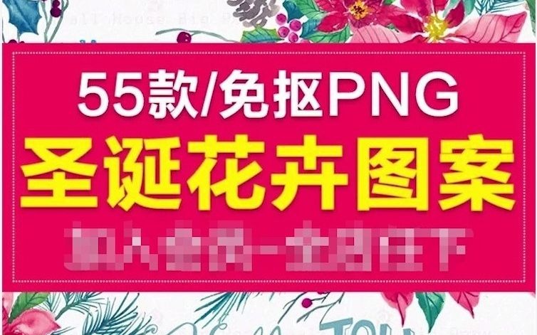 冬季圣诞花卉果花圈植物免抠海报请柬装饰PNG图案素材哔哩哔哩bilibili