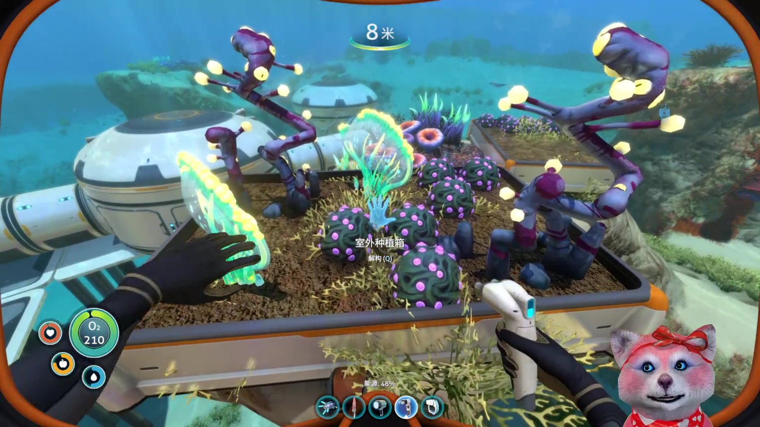 [深海迷航] 第4期 蟹鱿,电鳗是我永远的阴影