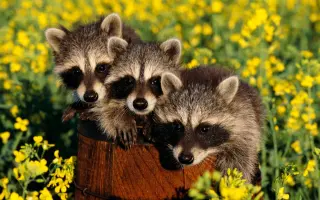 大空祐飛 搜索结果 哔哩哔哩 Bilibili