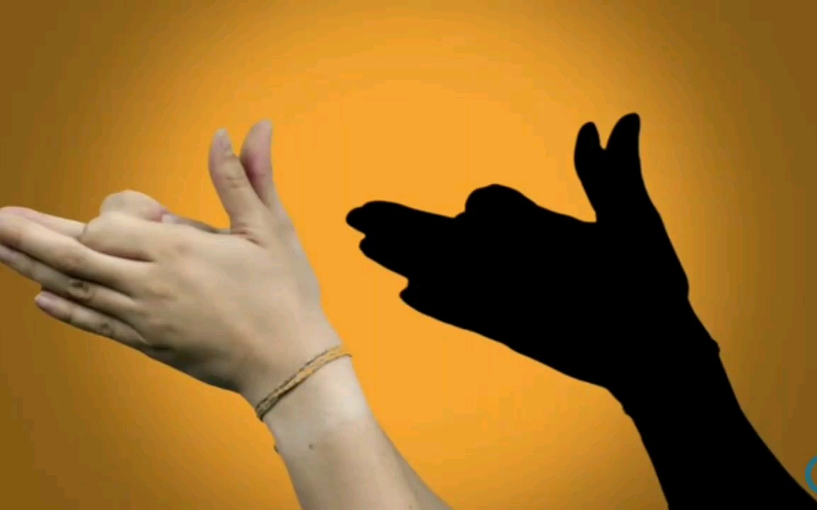 手的影子模仿动物图片图片
