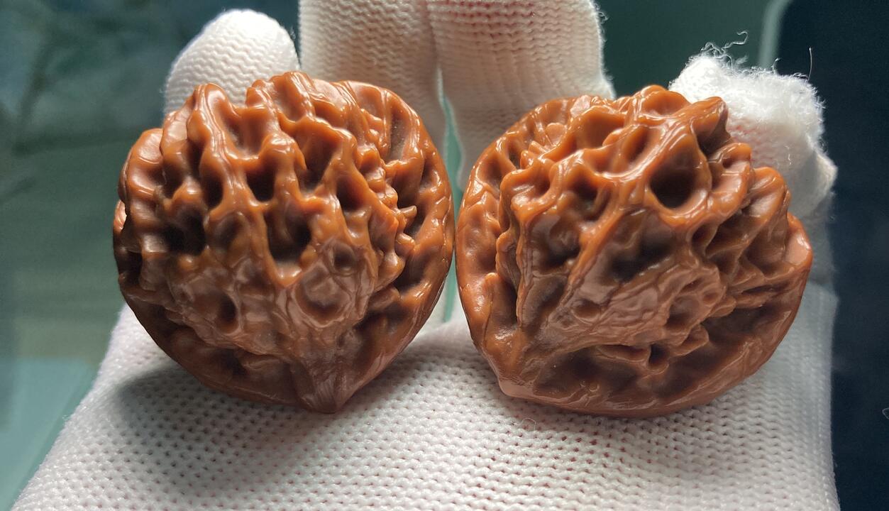 顽点东西/龙门涧一个新手玩家关于文玩核桃的分享（二）_哔哩哔哩_bilibili