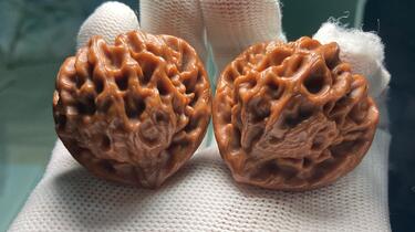 顽点东西/龙门涧一个新手玩家关于文玩核桃的分享（二）_哔哩哔哩_bilibili