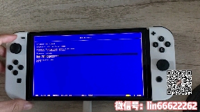 [图][教程]教你如何快速学会使用switch金手指