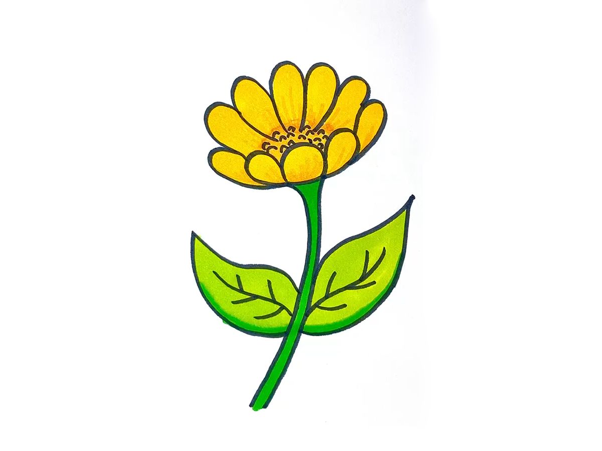 教你立体花朵的画法!