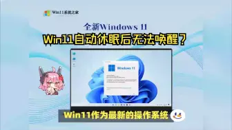 Download Video: 解决Win11自动休眠后无法唤醒的常见问题