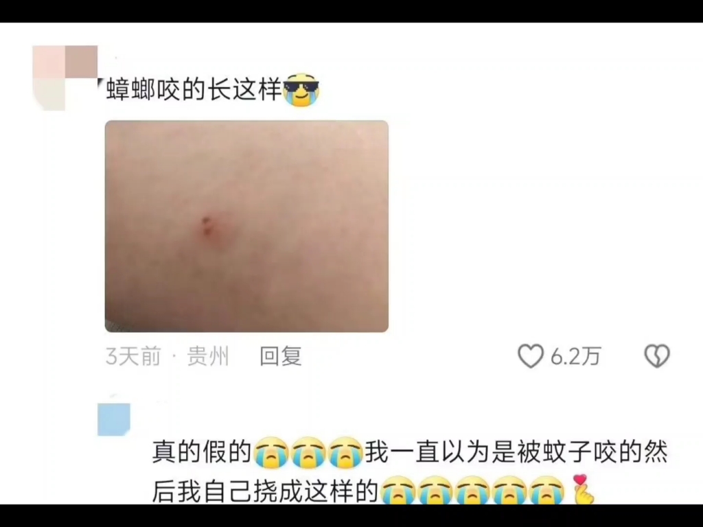 好可怕 蟑螂会吃人啊啊啊啊 哔哩哔哩bilibili