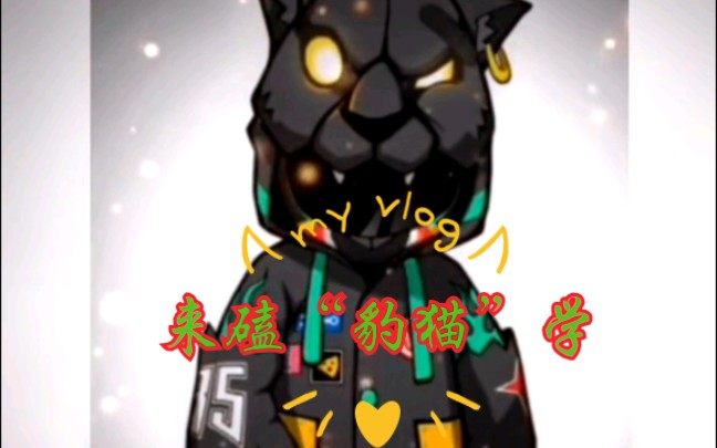 博君一肖】“豹猫”时间线终极篇（bjyxszd）_哔哩哔哩_bilibili