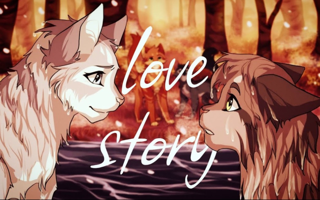 【猫武士】灰条&银溪  Love story [Indila]【AMV】哔哩哔哩bilibili