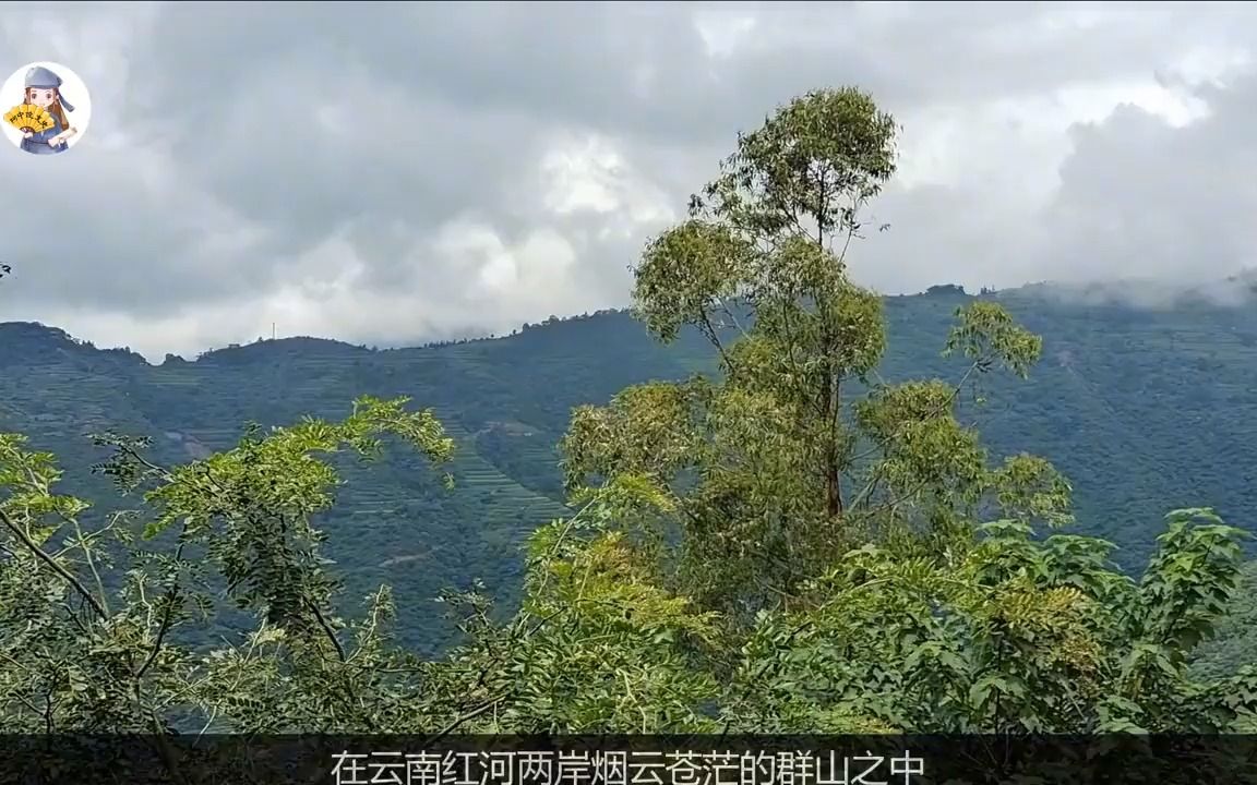 [图]寻古探奇《2》：这个云南深山里的政权，延续700年，疆土广至越南