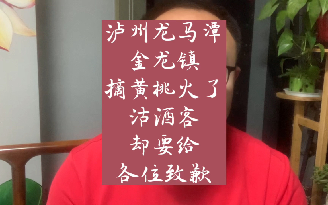 泸州龙马潭金龙镇的黄桃火了沽酒客欣慰的同时却要给大家致歉