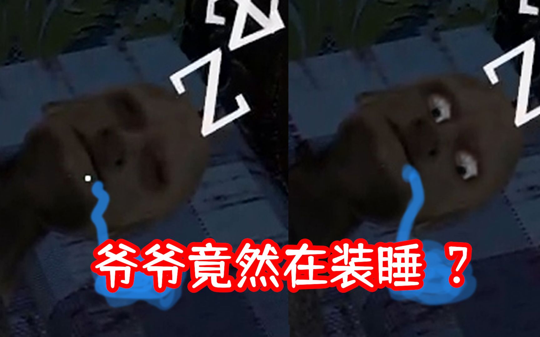 【恐怖奶奶3】竟然对着睡着的爷爷.