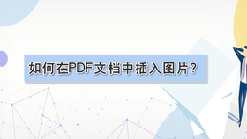 PDF           _    ( - )    ~-bilibili