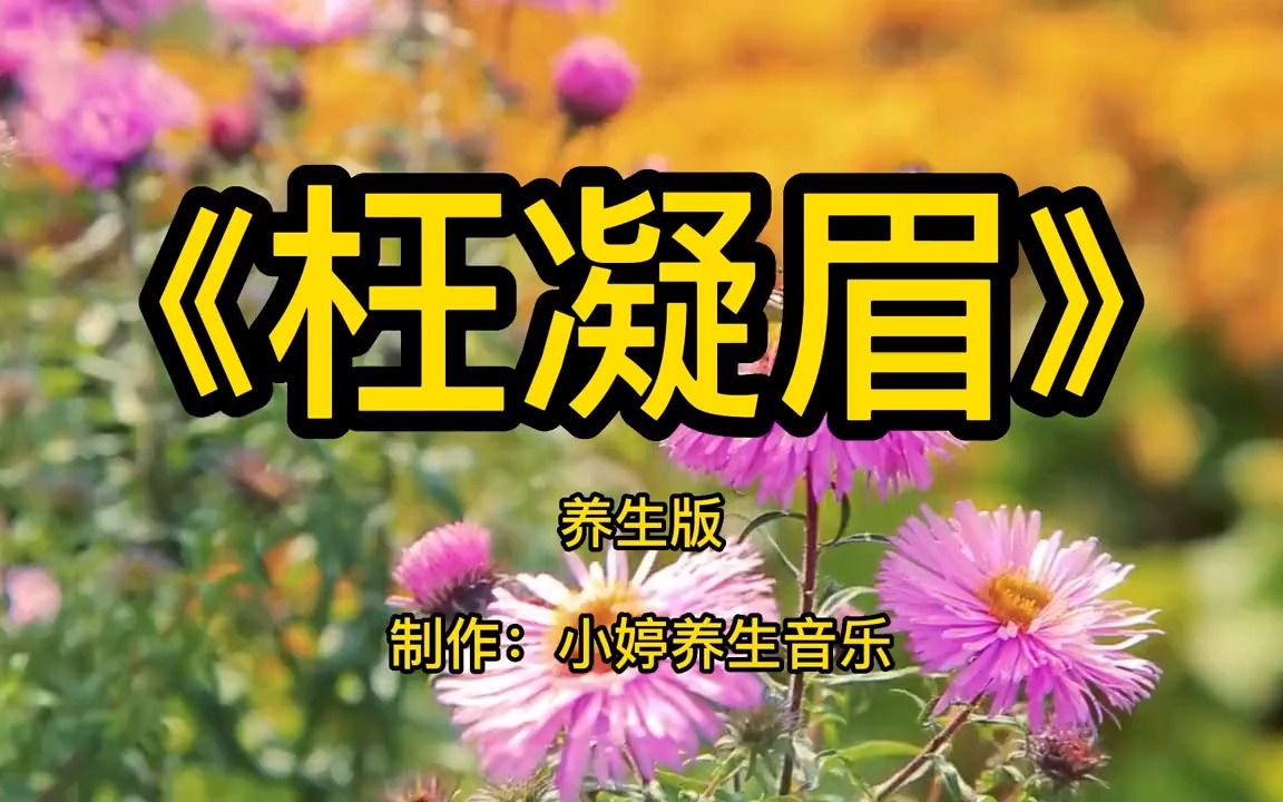 [图]古筝纯音乐《枉凝眉》完整版，熟悉的旋律，柔情似水，悠然自得