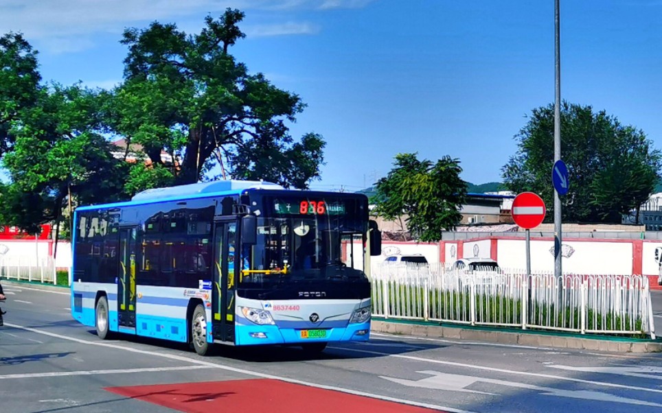 视频去哪了呢?_哔哩哔哩_bilibili