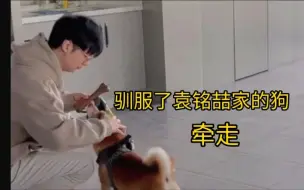 Download Video: 【文森｜马阳｜小胡】对驯服喆哥的狗狗是有一些执念的