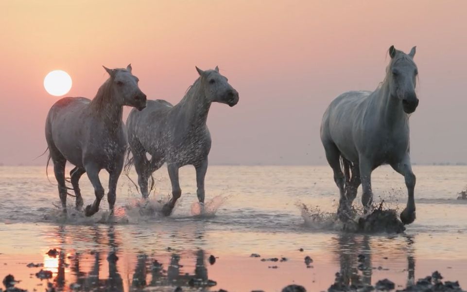 祝考研人心想事成,马到成功!_哔哩哔哩 (゜-゜)つロ 干杯~-bilibili