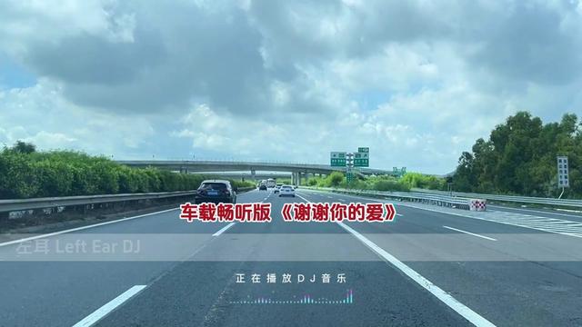 [图]经典dj歌曲推荐 车载畅听版 《谢谢你的爱》 热门音乐 车载U盘 中文dj