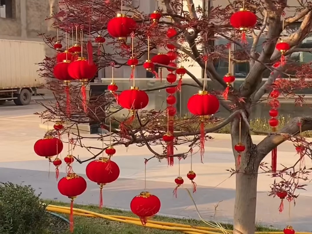 过年的 植绒小灯笼 来了,家里的绿植,院子的树上都能挂,美观喜庆非常