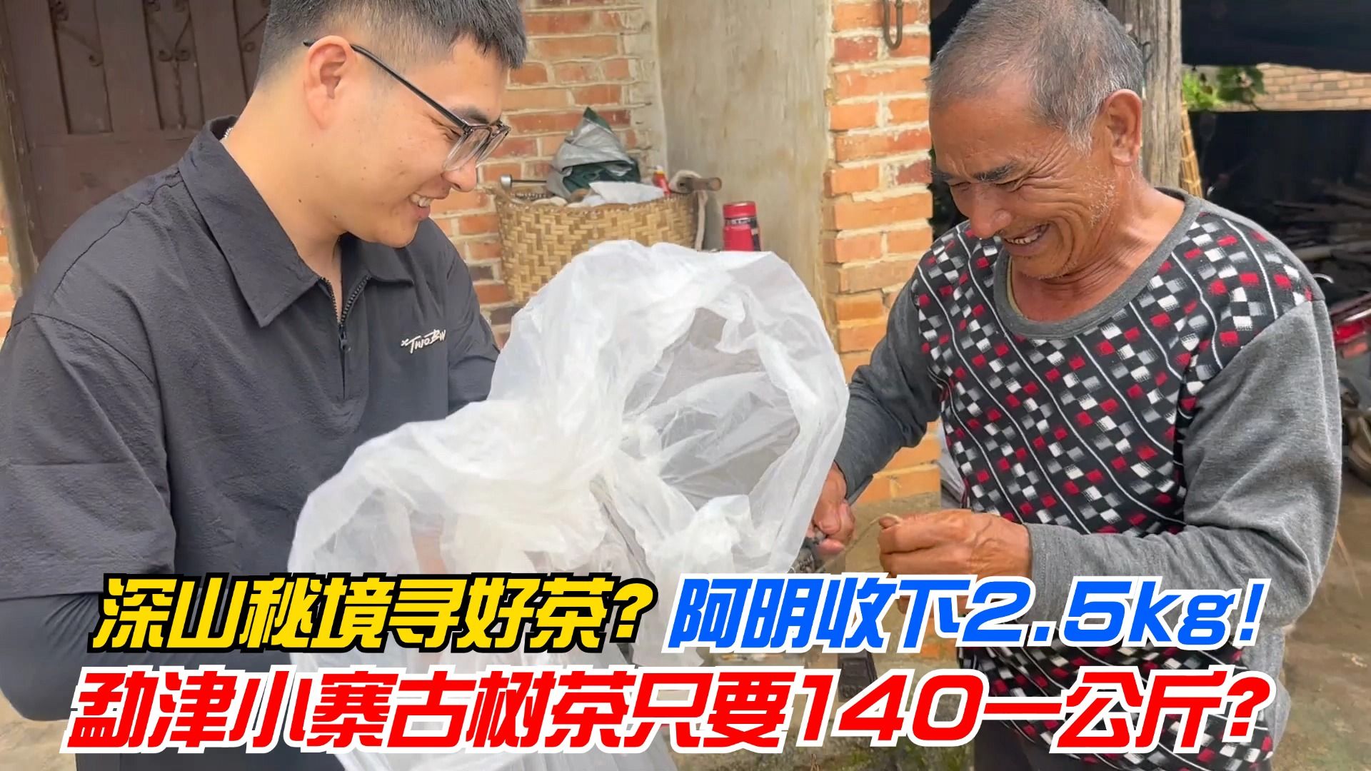 深山秘境寻好茶?勐津小寨古树茶只要140一公斤?阿明收下2.5kg!哔哩哔哩bilibili