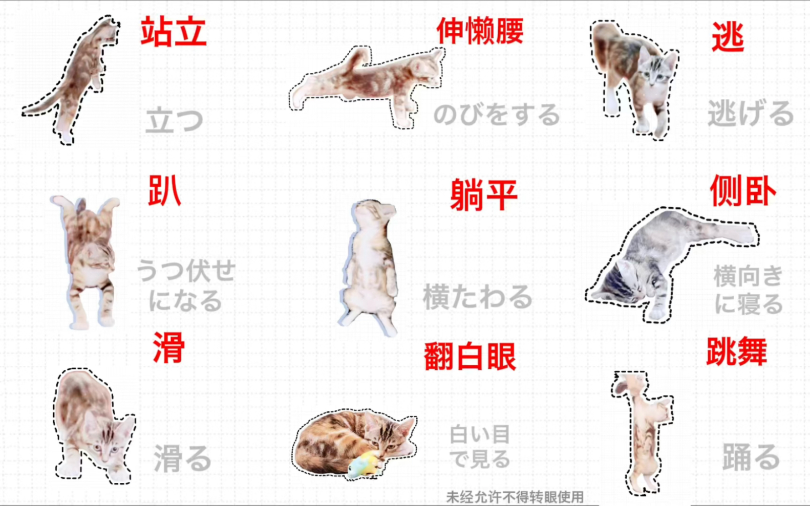 一只猫的日语动作片:130个【身体动作】的日语单词(番外篇),你们想要的动作分类词汇还没完呢~哔哩哔哩bilibili