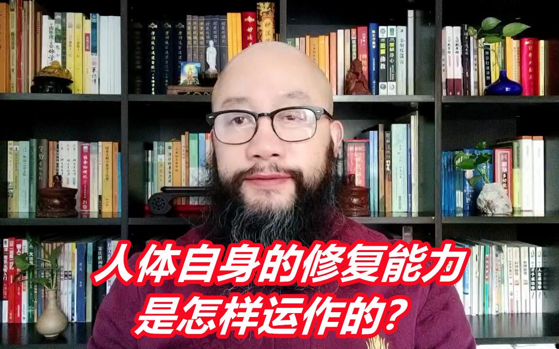 人体自身修复能力是怎样运作的?哔哩哔哩bilibili