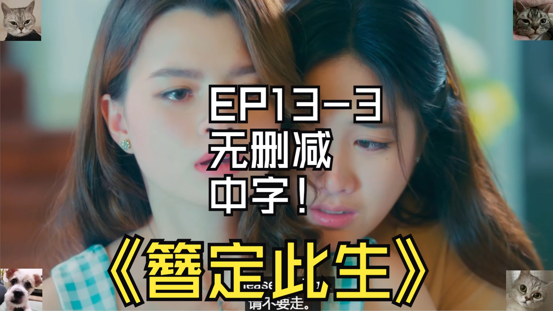 簪定此生EP133无删减中字公主决绝,心痛死了哔哩哔哩bilibili