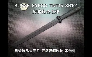 Video herunterladen: BUSSE SYKCO TNT15 SR101 废墟良心之作 陶瓷制品未开刃 开箱视频欣赏 不涉售